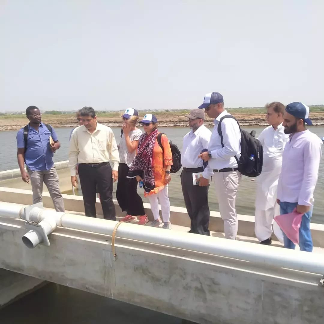 Farm visitors learning beside LarGro's IPRS raceways