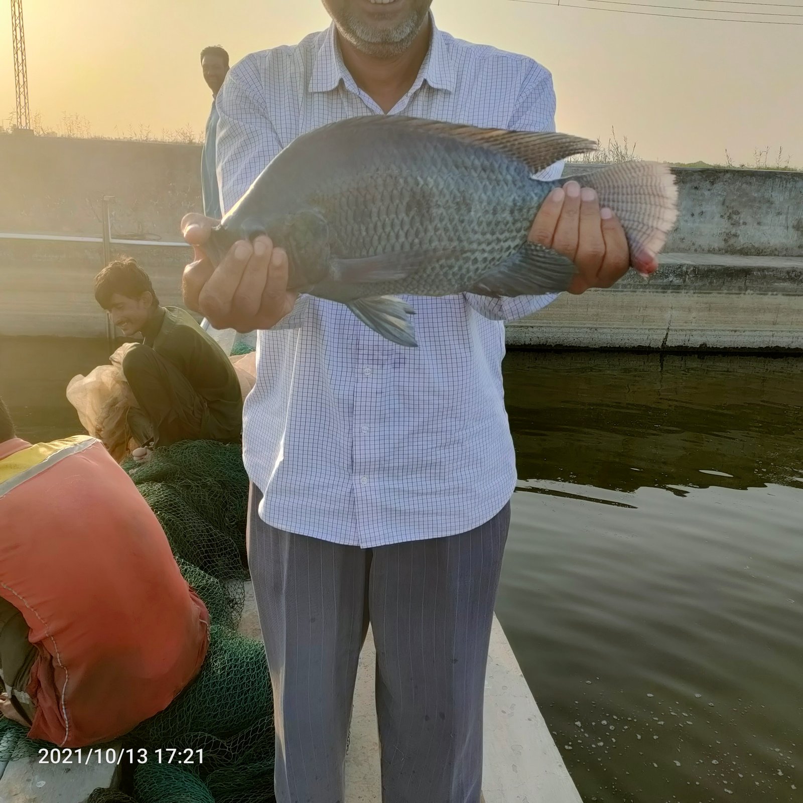 LarGro staff displaying a harvested tilapia from a farm pond