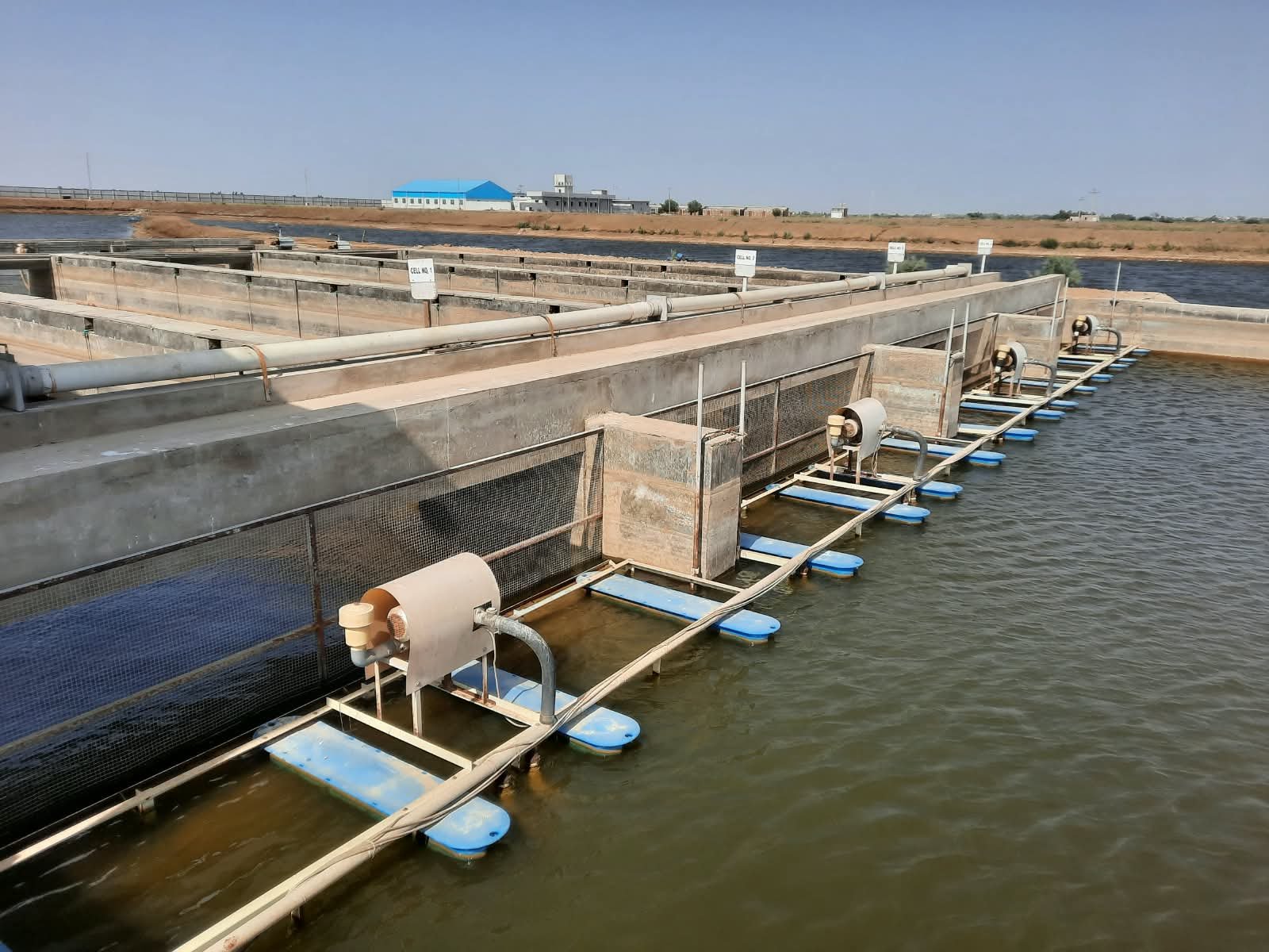LarGro IPRS raceways with paddlewheel aeration